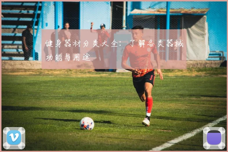 健身器材分类大全：了解各类器械功能与用途