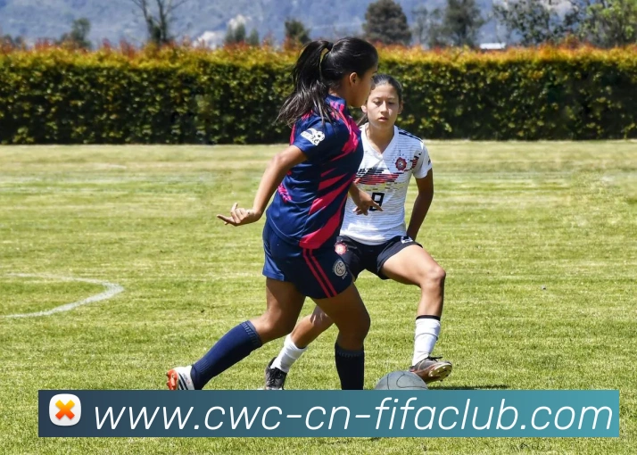 世界杯买球服务体系