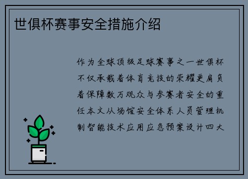 世俱杯赛事安全措施介绍