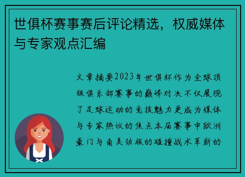 世俱杯赛事赛后评论精选，权威媒体与专家观点汇编